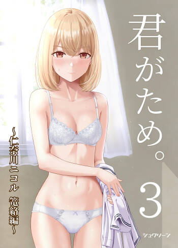 Kimi ga Tame. 3 cover
