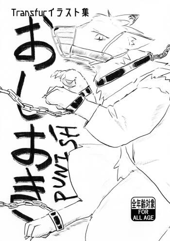Punish cover