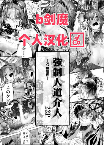強制人道介入 cover