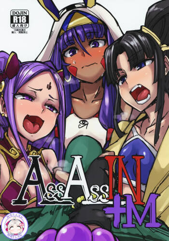 C95 AssAssIN+M cover
