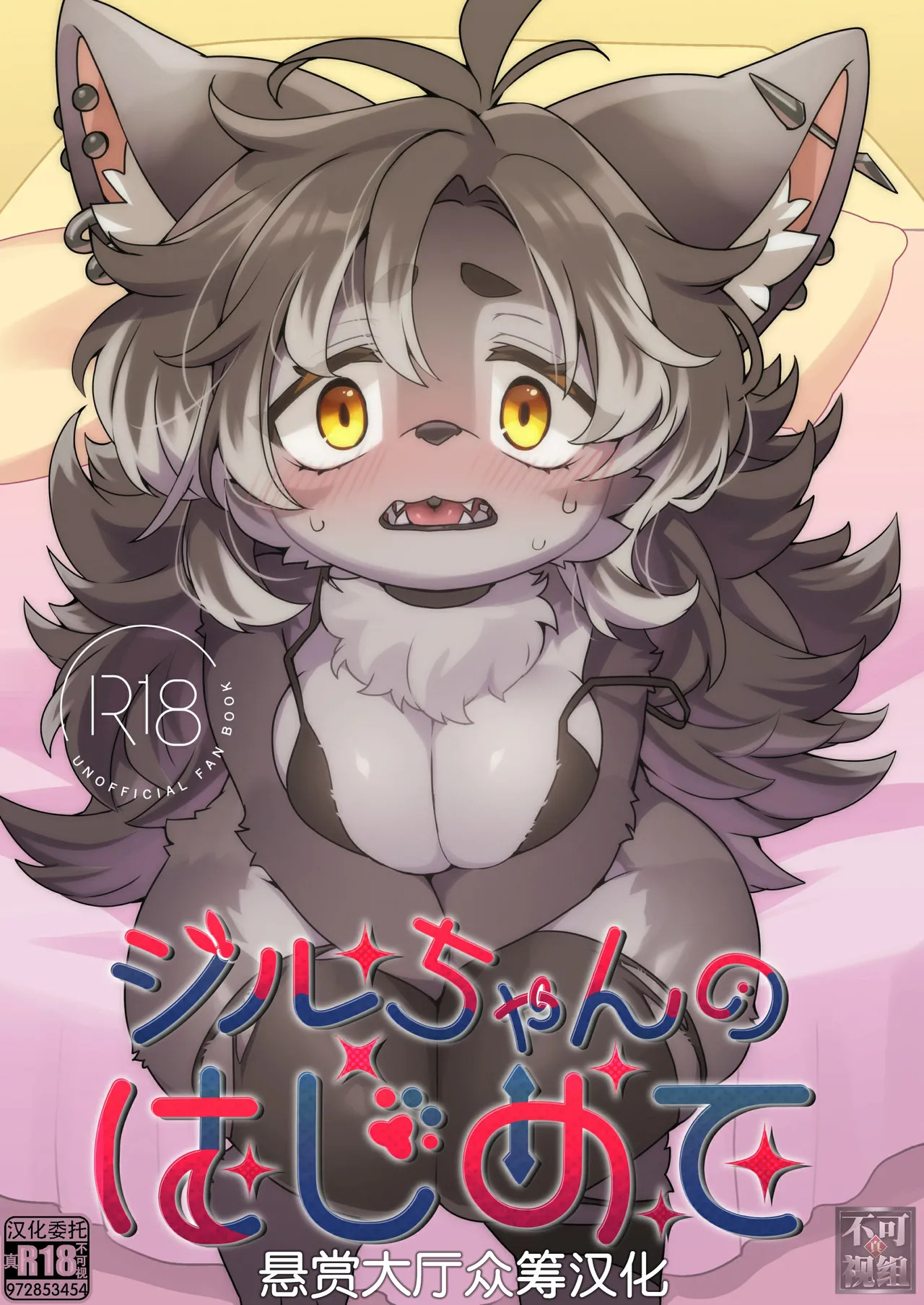 ジルちゃんのはじめて page 1 full