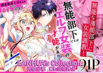 munou bukadesuga Erufu josou no sainou ga arimashita | 无能部下有女装精灵的才能【兰花汉化】 cover