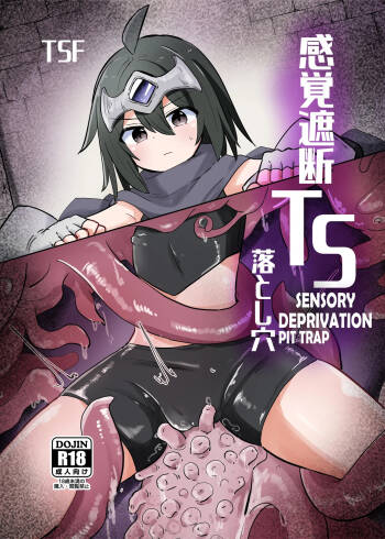 Kankaku Shadan TS Otoshiana TS Sensory Deprivation Pit Trap cover