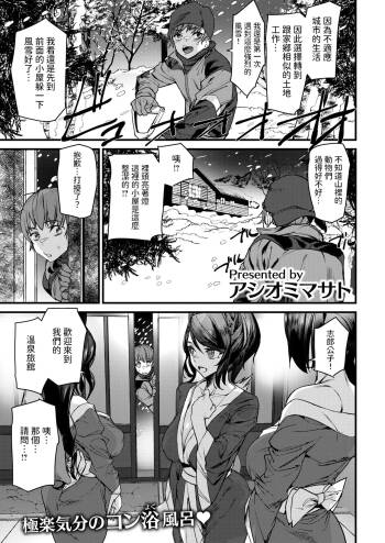きつねの恩泉    中文翻譯 cover