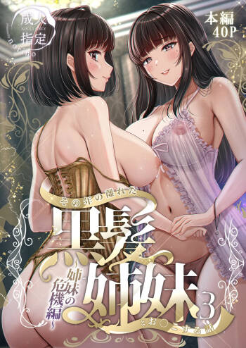 Sono Toshi no Hanareta Kurokami Shimai to Omeko suru Hanashi 3 〜Shimai no Kiki Hen〜 cover
