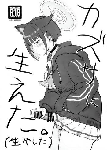 Kazusa ni Haeta. cover
