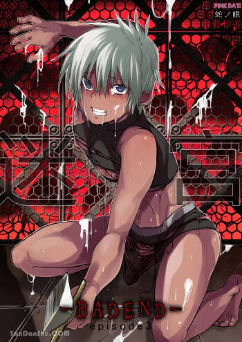 【蛇ノ眼】迷宮BADEND episode 3 cover