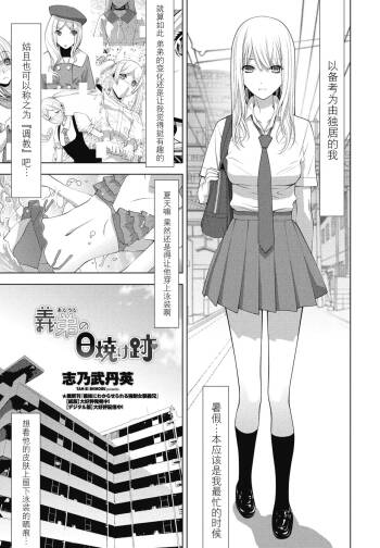 Gitei no hiyake ato cover