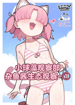 小球藻观察部杂鱼酱生态观察-①