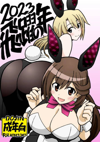 hiyaku no tosi cover
