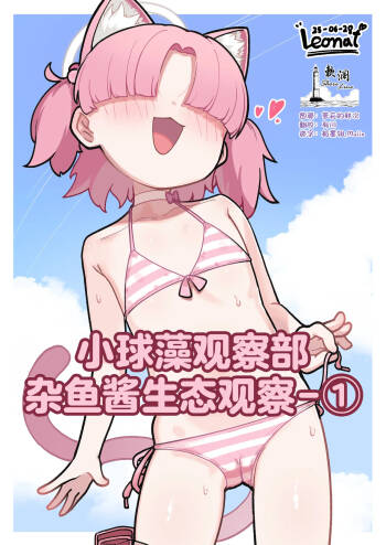 小球藻观察部杂鱼酱生态观察-① cover