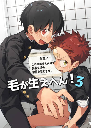 Ke ga Gaehen! 3 cover