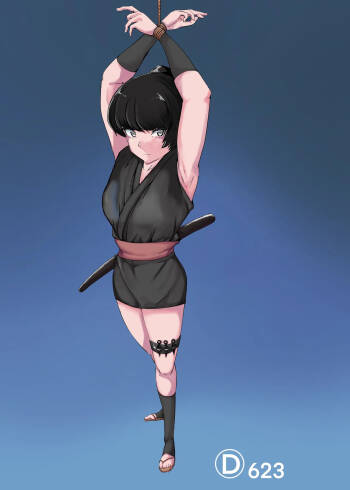 shinobu cover