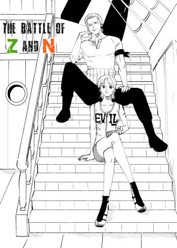 【R18】ZoroNami cover