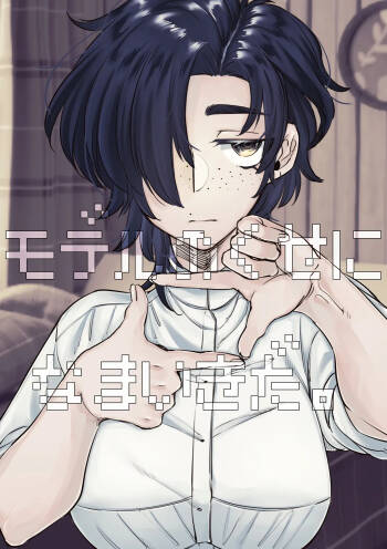 Model no Kuse ni Namaiki da. cover