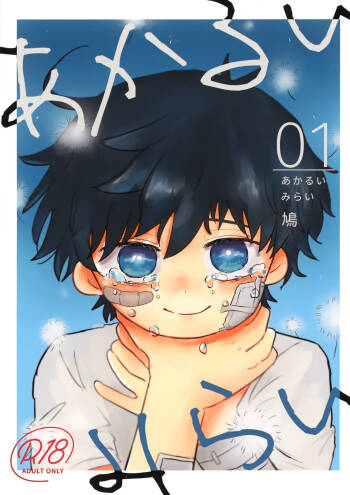 Akarui Mirai 1 cover