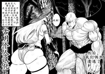 SEMXONTER : Giant of the forest Bolguin cover