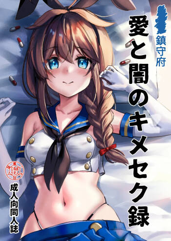 Chinjufu Ai To Yami No Kimesekuroku cover