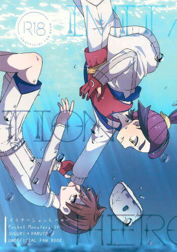 Imitation Hero cover