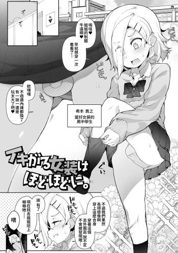 Ikigaru Josou wa Hodohodo ni cover