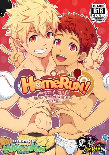 HomeRun! cover