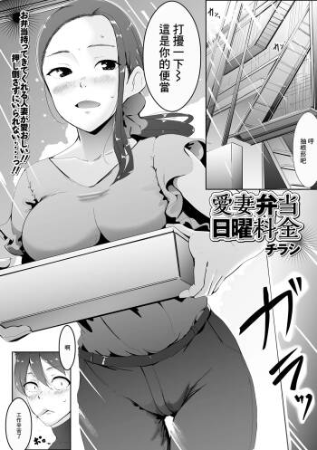 愛妻弁当日曜料金 cover