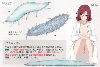 Mushi Research Report No.26 cover