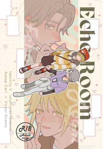Echo room cover