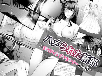 ハメられた新郎〜ウエディングプランナーの場合〜 cover