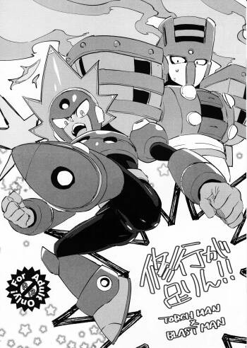Shugyo ga tarin!! cover