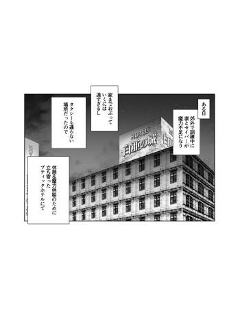 性剣エクスカリバー cover