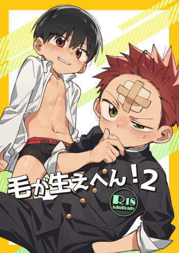 Ke ga Gaehen! 2 cover