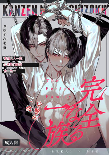 完整的一族 cover