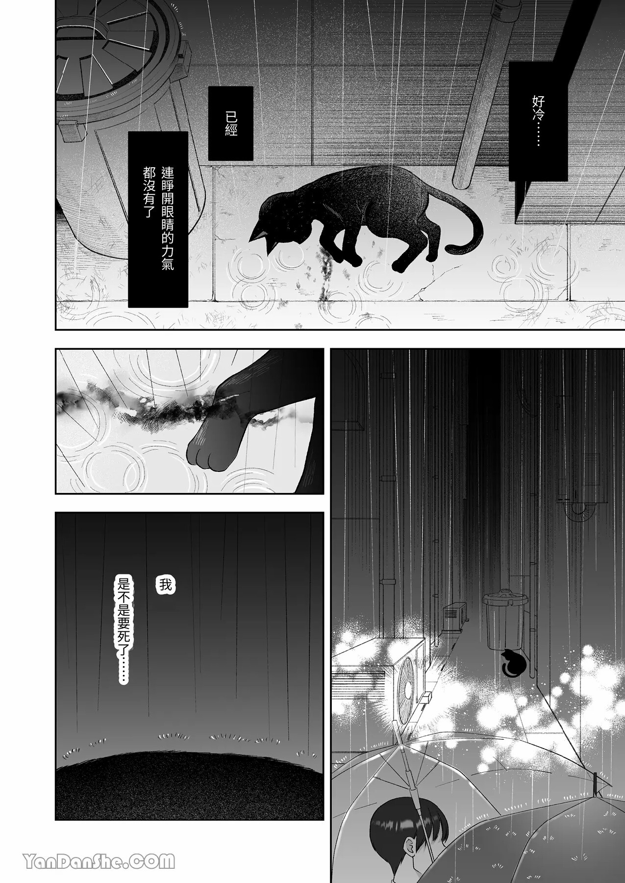【丹下】黑貓小黑的報恩既笨拙又放肆 page 3 full