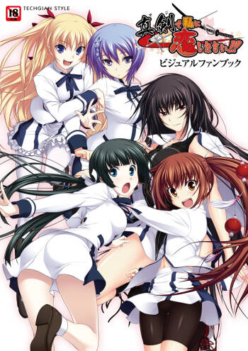 Maji de Watashi ni Koi Shinasai Visual Fan Book cover