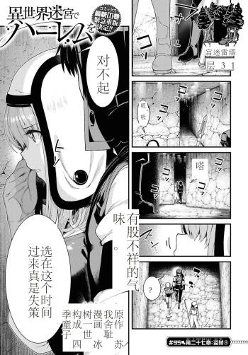 isekai-meikyuu-de-harem-95-99 cover