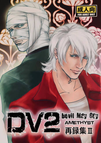 八神DV再録集2 cover