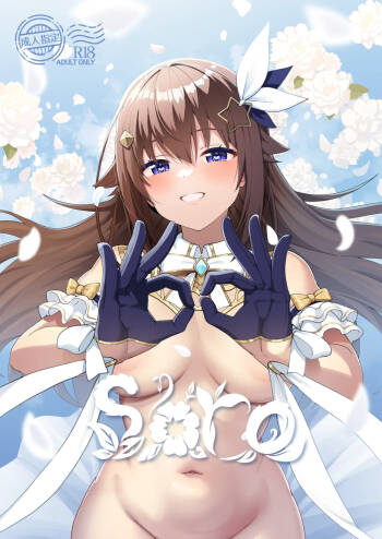 sora cover