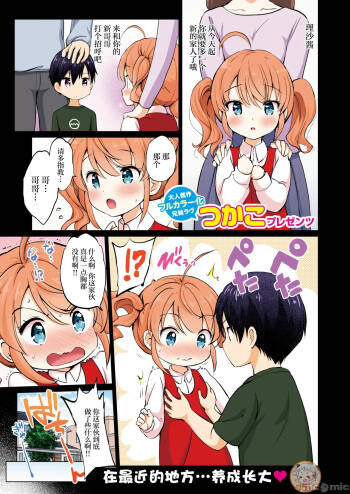 つよ☆しす（Chinese） cover