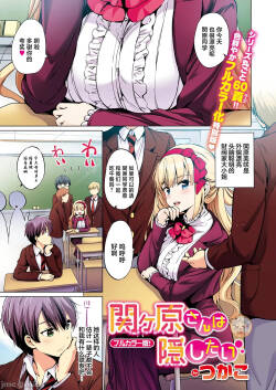 関ヶ原さんは隠したい（Chinese）