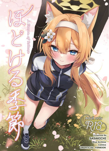 Hodokeru Kisetsu - A Season of Release cover