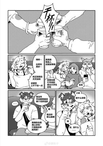 CRUSH cover