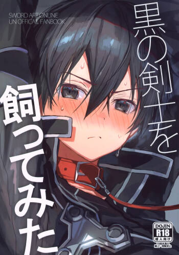Kuro no Kenshi o Katte Mita cover