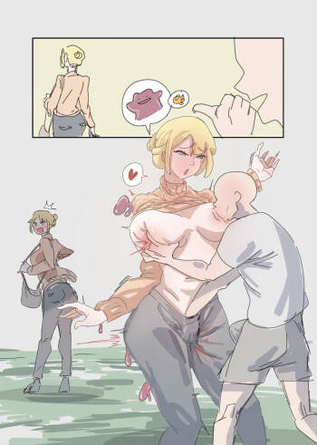 How to use ditto cover