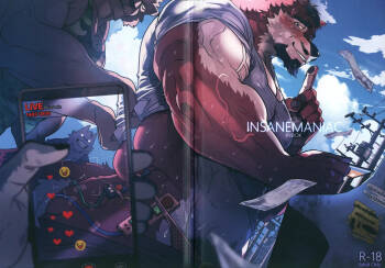 INSANEMANIACRYBIOK cover