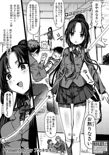 Stray Dog Reika cover