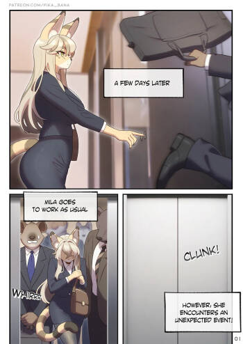 The SEXret Elevator cover