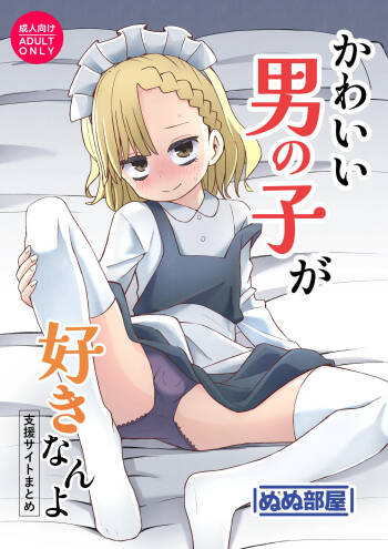 Kawaii Otoko no Ko ga Suki nanyo cover
