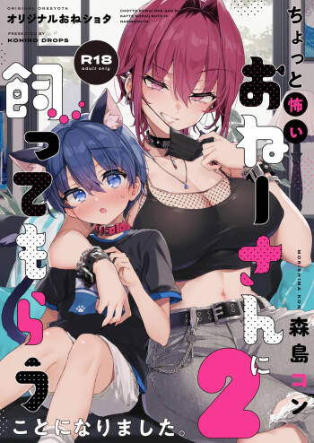 Chotto Kowai Onee-san ni Katte morau Koto ni Narimashita.2 cover