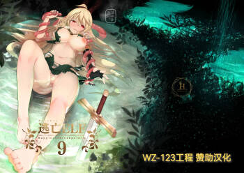 Toubou Elf 9 cover